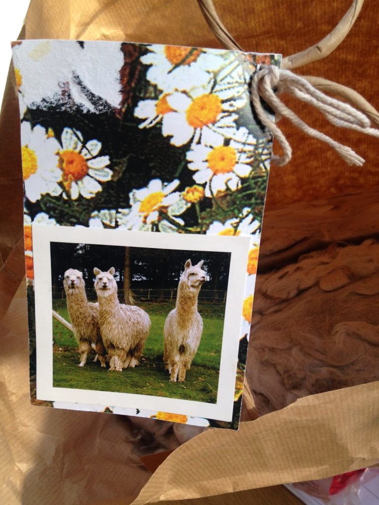 Alpaca fleece and the alpacas in a picture