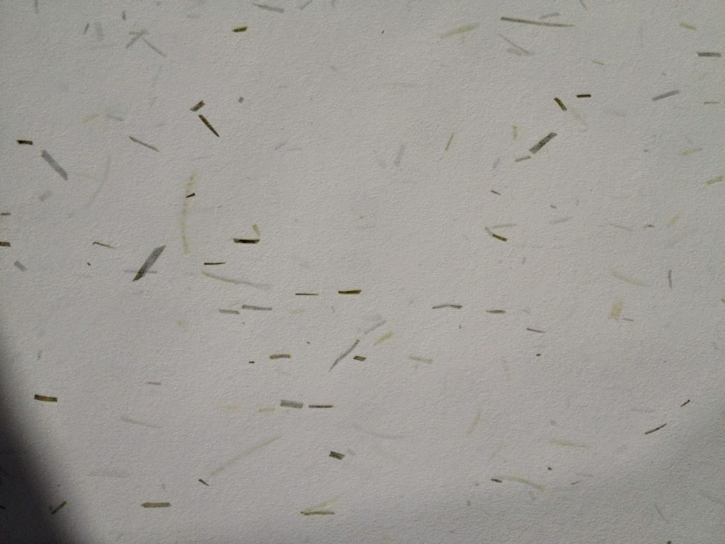making paper with wimbledon grass cuttings