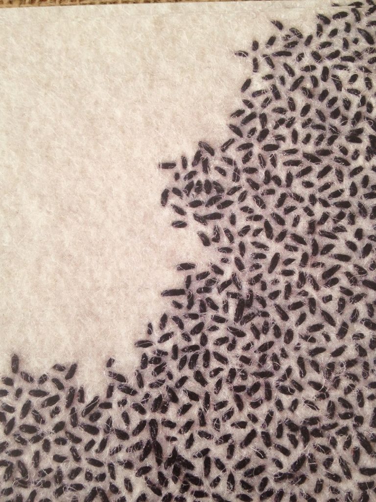 Hand stitched work by Roanna Wells