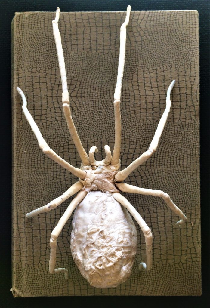 Mister Finch - textile spider This little fellow is so realistic, I was happy it was behind glass.