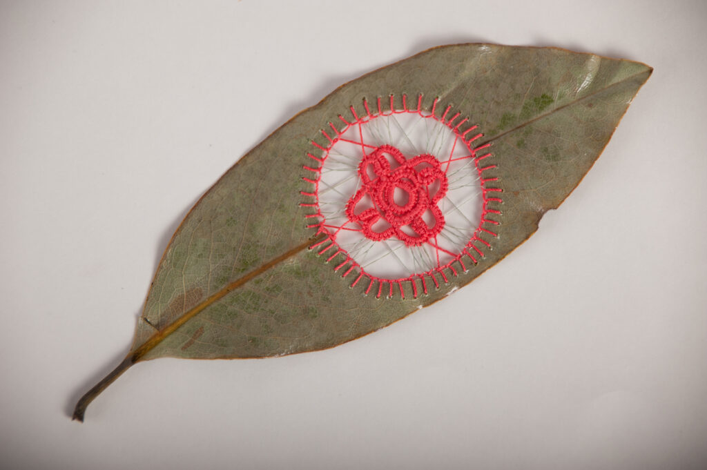 Cutwork and embroidery by Hillary Waters Fayle