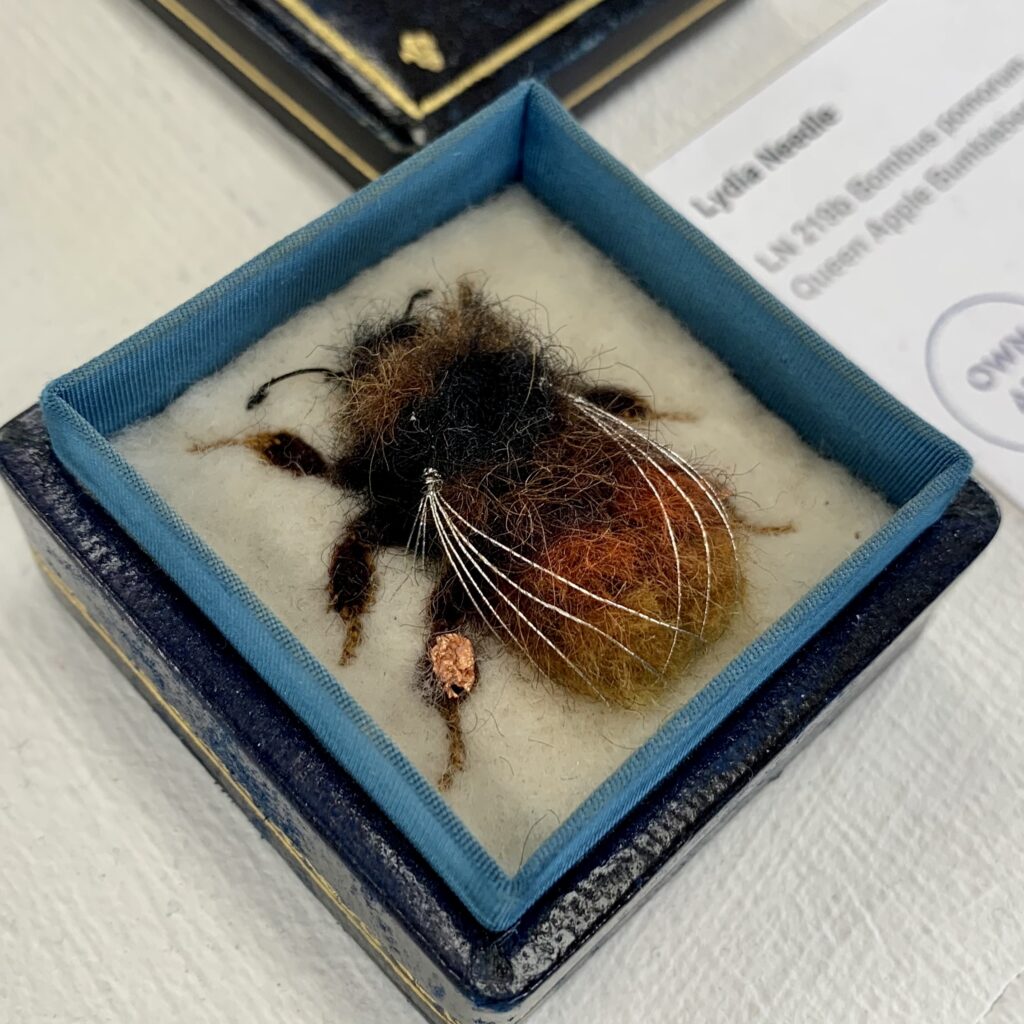 Part of Fifty Bees