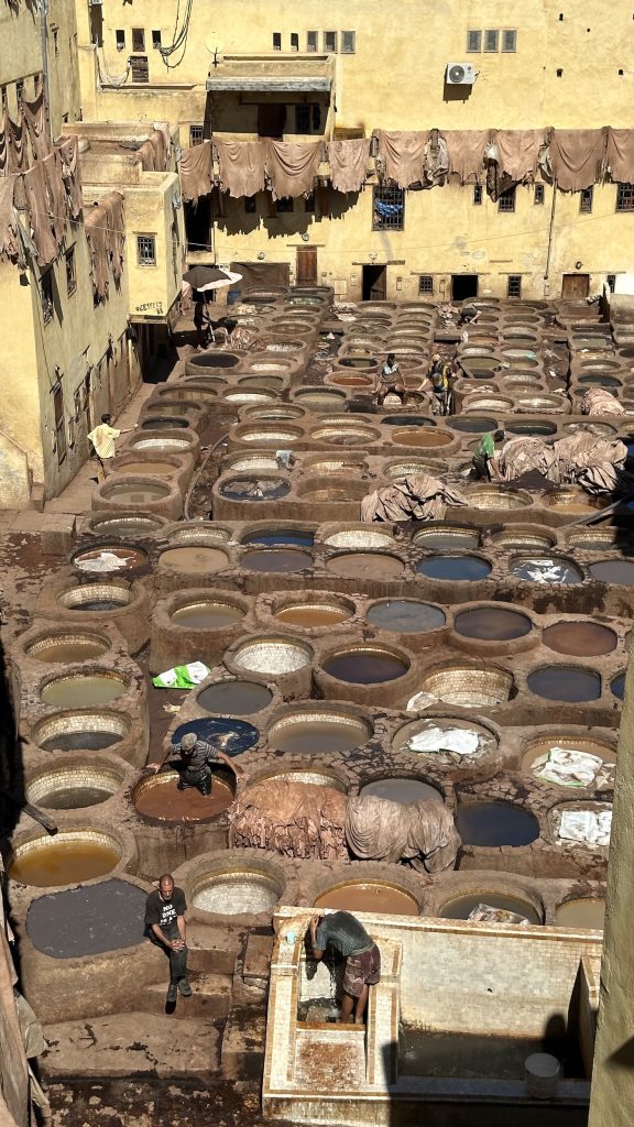 The world famous Fes Tanneries